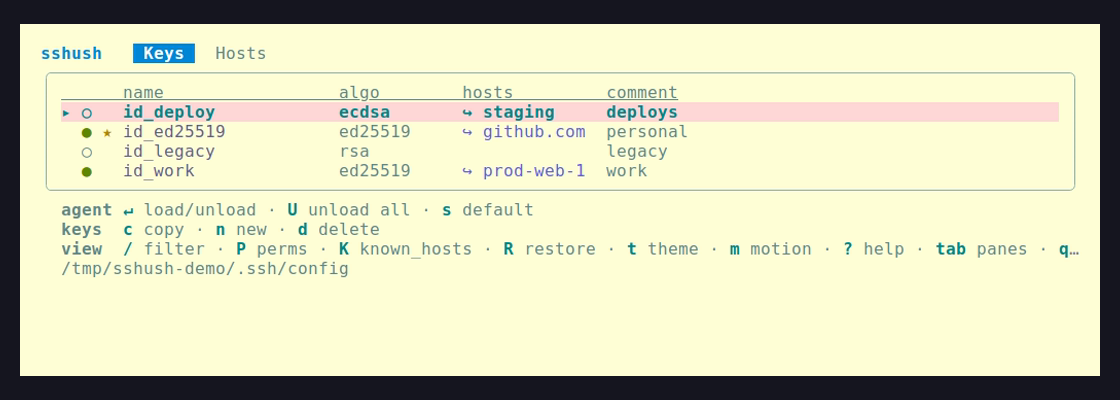 sshush with the Solarized Light theme